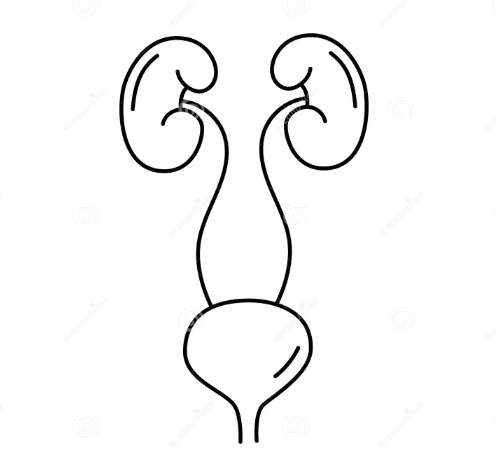 captura de tela 2026 03 19 140626