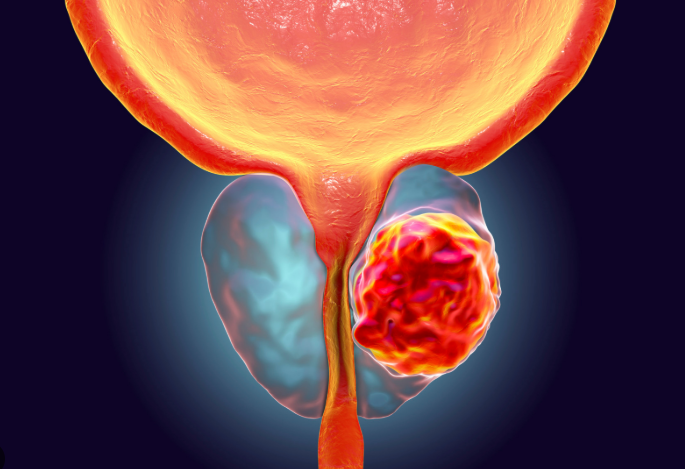 captura de tela 2026 03 19 143436