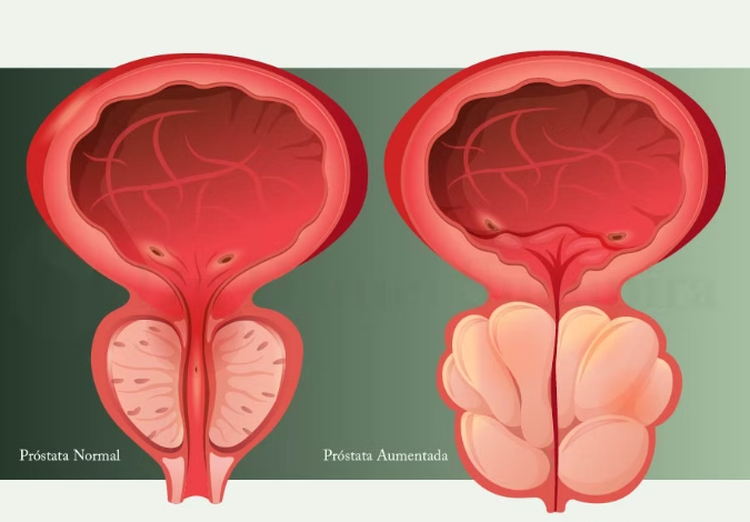 captura de tela 2026 03 19 143625